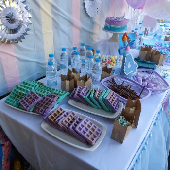 rochelles party - 7